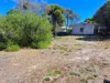 77 Ti-Tree Road, The Pines, SA 5577