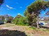 77 Ti-Tree Road, The Pines, SA 5577-Image