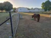 78-82 Fifteenth Street, Home Hill, Qld 4806-Image