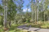 78 Long Road, Tamborine Mountain, Qld 4272-Image