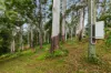 78 Long Road, Tamborine Mountain, Qld 4272-Image