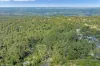 78 Long Road, Tamborine Mountain, Qld 4272-Image