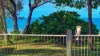 78 Reid Road, Wongaling Beach, Qld 4852-Image