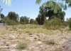 78 Stafford Road, Kenwick, WA 6107-Image