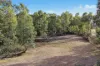 78 Waterworks Road, Mudgee, NSW 2850-Image