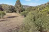 78 Waterworks Road, Mudgee, NSW 2850-Image