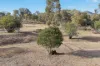 78 Waterworks Road, Mudgee, NSW 2850-Image