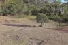 78 Waterworks Road, Mudgee, NSW 2850-Image