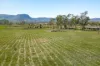 78A Franks Place, Hartley, NSW 2790
