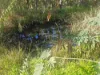 79 Counter Road, Wolvi, Qld 4570-Image