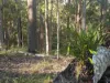 79 Counter Road, Wolvi, Qld 4570-Image