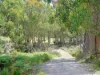 79 Marriotts Road, Ellendale, Tas 7140-Image