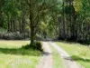 79 Marriotts Road, Ellendale, Tas 7140-Image