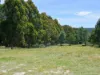 79 Marriotts Road, Ellendale, Tas 7140-Image