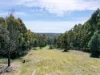79 Marriotts Road, Ellendale, Tas 7140-Image