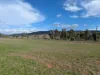 79 Riddell Street, Bingara, NSW 2404