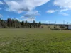 79 Riddell Street, Bingara, NSW 2404-Image