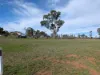 79 Riddell Street, Bingara, NSW 2404-Image