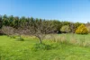 79 Tarrawarra Lane, Romsey, Vic 3434-Image
