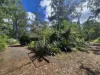 792 Old Esk Road, Taromeo, Qld 4314-Image