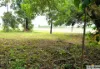 799 Davidson Road, Euramo, Qld 4854-Image