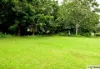 799 Davidson Road, Euramo, Qld 4854-Image