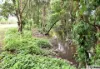 799 Davidson Road, Euramo, Qld 4854-Image