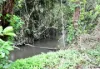 799 Davidson Road, Euramo, Qld 4854-Image