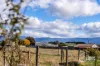 7A Jetson Court, Cressy, Tas 7302-Image