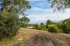 7a Sheoak Drive, Belair, SA 5052-Image