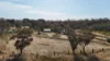 8-10 River Terrace, Redhill, SA 5521-Image