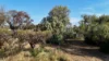 8-10 River Terrace, Redhill, SA 5521-Image