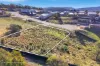 8 Achaderry Court, Howrah, Tas 7018-Image