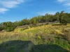 8 Achaderry Court, Howrah, Tas 7018-Image