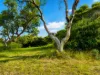 8 Alfred Crescent, Venus Bay, Vic 3956-Image