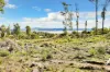 8 Ardea Drive, Swan Bay, Tas 7252-Image