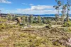 8 Ardea Drive, Swan Bay, Tas 7252-Image