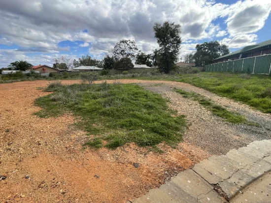 8 Box Place, Cobar, NSW 2835