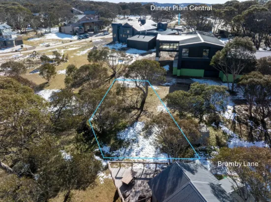 8 Brumby Lane, Dinner Plain, Vic 3898