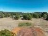 8 Camden Place, Gunnedah, NSW 2380-Image
