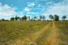 8 Charlies Lane, Guyra, NSW 2365-Image