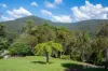 8 Grant Street, Warburton, Vic 3799-Image