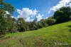 8 Grant Street, Warburton, Vic 3799-Image