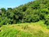 8 Julian Close, Mooroobool, Qld 4870-Image