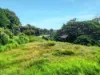 8 Julian Close, Mooroobool, Qld 4870-Image
