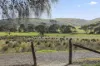 8 Kleinig Drive, Hayborough, SA 5211-Image