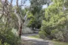 8 Kleinig Drive, Hayborough, SA 5211-Image