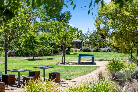 8 Lynton Avenue, South Plympton, SA 5038-Image