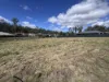 8 MCLUCAS CRESCENT, Wondai, Qld 4606-Image