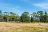 8 McRobin Road, White Beach, Tas 7184-Image
